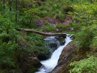 Kaskaden zwischen Felswänden